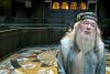 Dumbledore